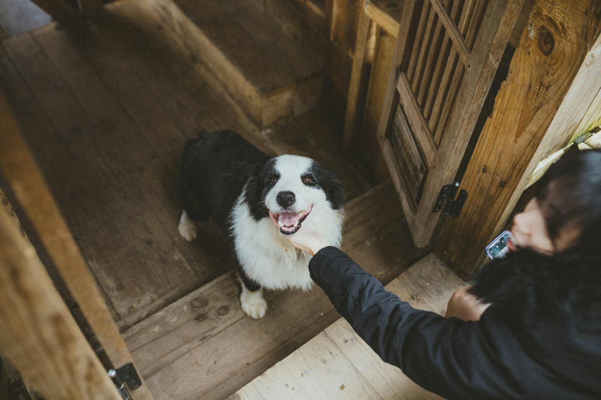Drop-In Visits