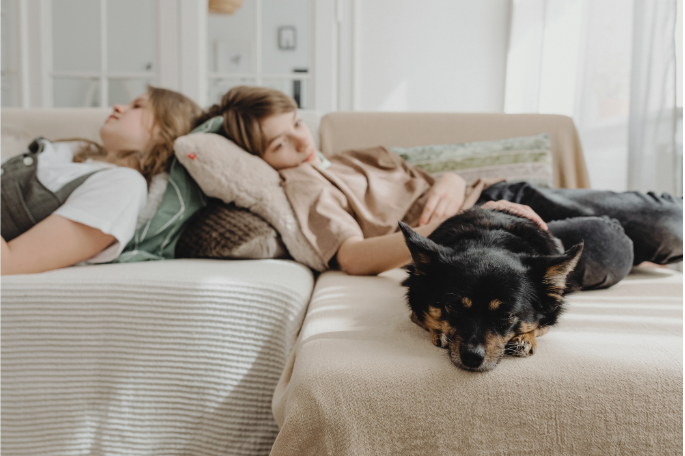 Pet Sitting